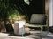 Calista Lounge Chair