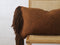 Casapacha Cushion with Tassels | Chocolate