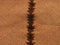 Casapacha Woven Throw with Seam | Caramel