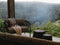 Ezra Outdoor Armchair Forest