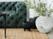 Green sofa next to 3 pot plants sitting on a large jute rug