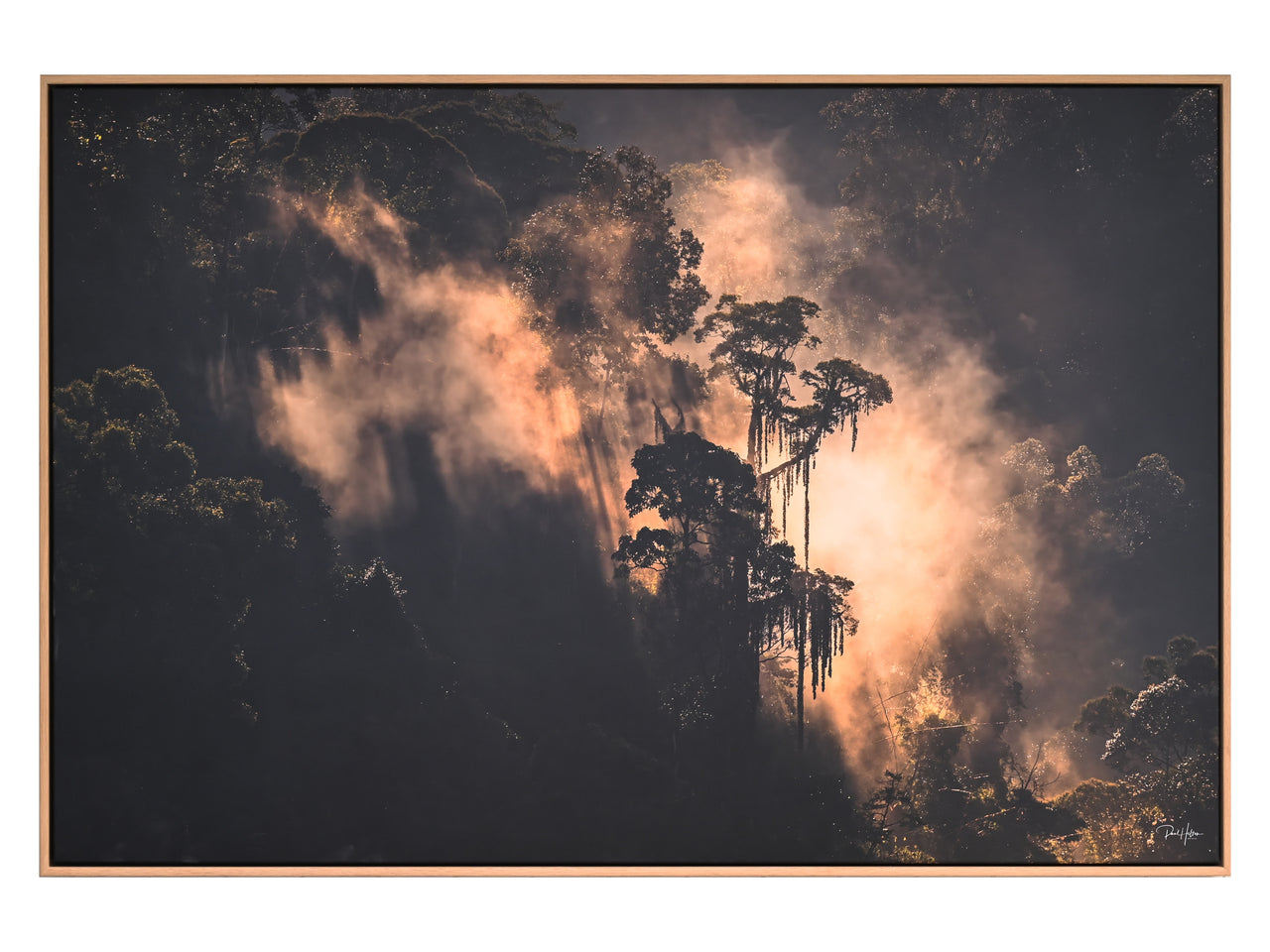 Leuser By Paul Hilton 100x150cm