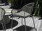 Lola Outdoor Dining Chair with Cushion
