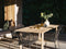 Lola Outdoor Dining Chair with Cushion