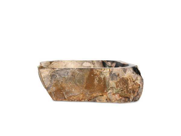 Fossil Wash Basin Large