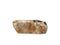 Fossil Wash Basin Large