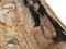 Fossil Wash Basin Large